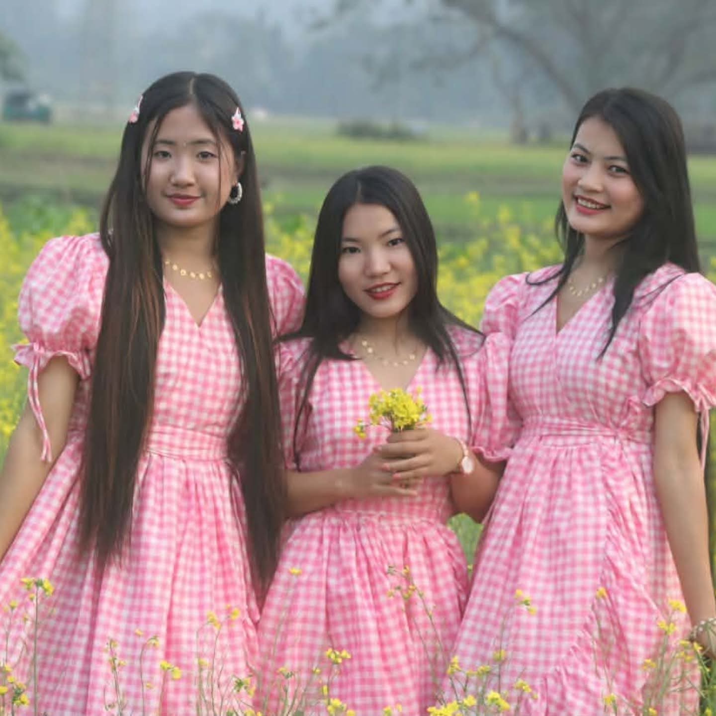 Premium Rafell Dress Pink colour - Image 3